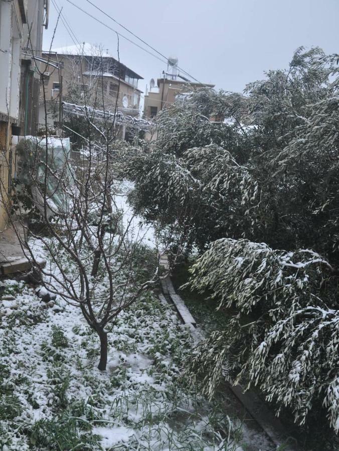 Cosy Appartement Majdal Shams Dış mekan fotoğraf